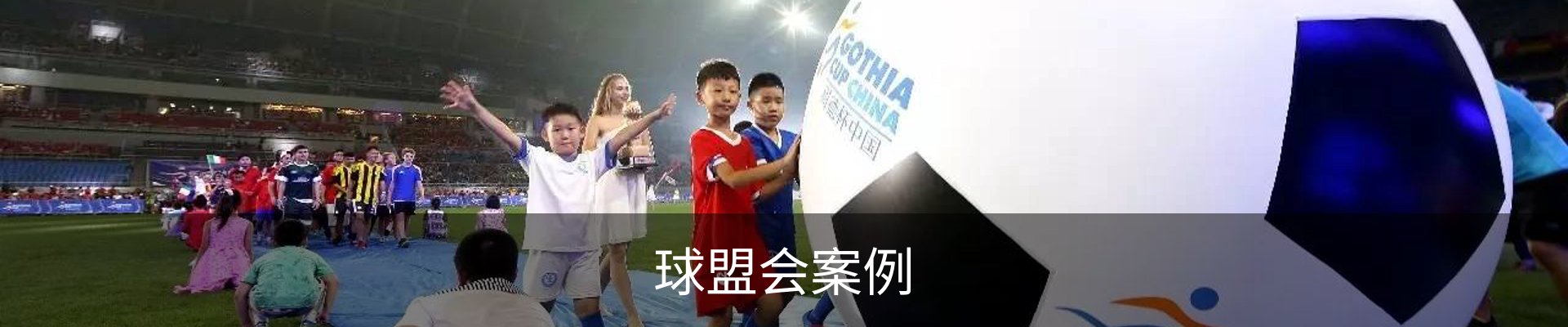 球盟会案例